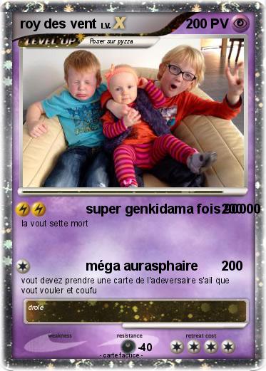 Pokemon roy des vent