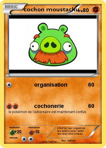 Pokemon cochon moustachu