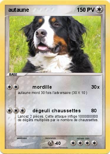 Pokemon autaune