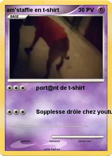 Pokemon am'staffie en t-shirt