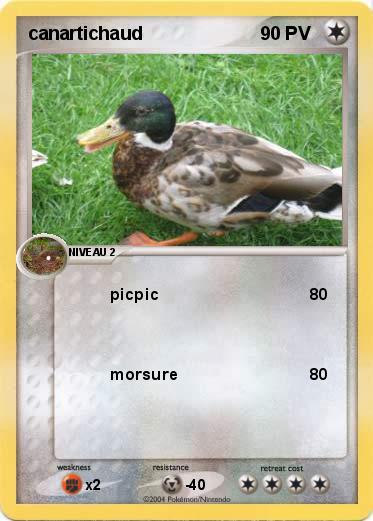 Pokemon canartichaud