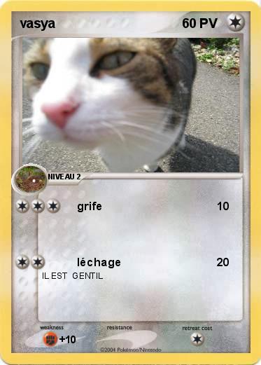Pokemon vasya