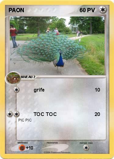 Pokemon PAON