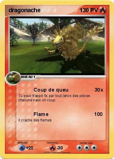 Pokemon dragonache