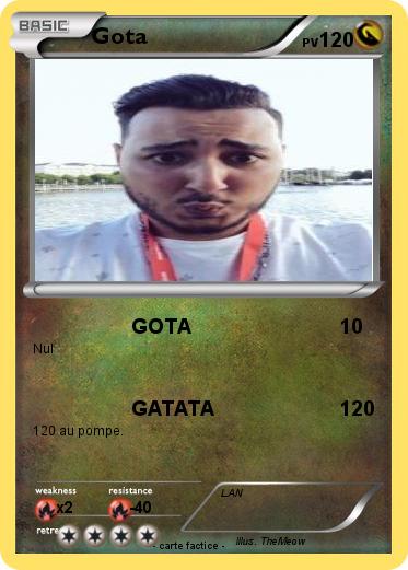 Pokemon Gota