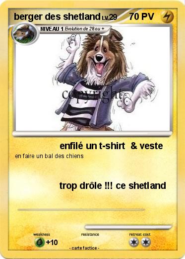 Pokemon berger des shetland