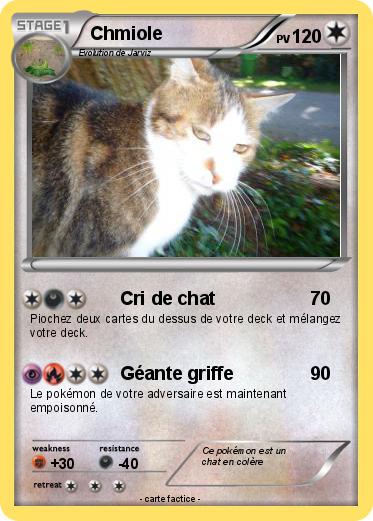 Pokemon Chmiole
