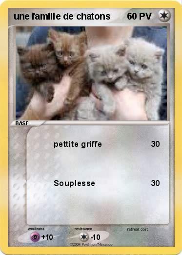Pokemon une famille de chatons