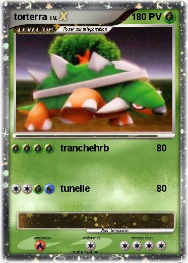 Pokemon torterra