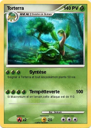 Pokemon Torterra