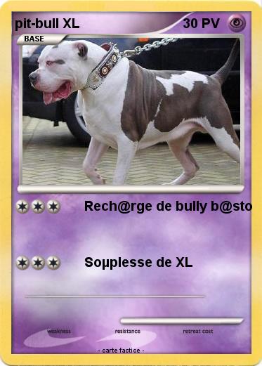 Pokemon pit-bull XL