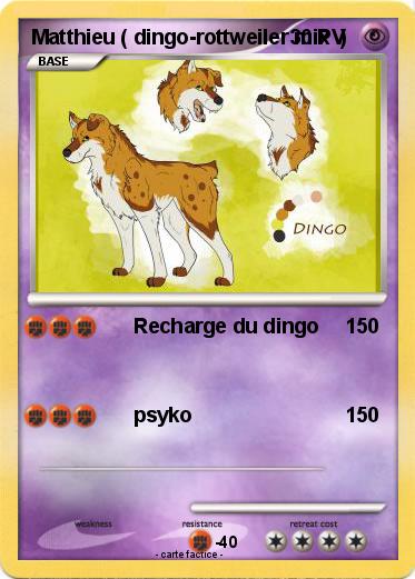 Pokemon Matthieu ( dingo-rottweiler mix  )