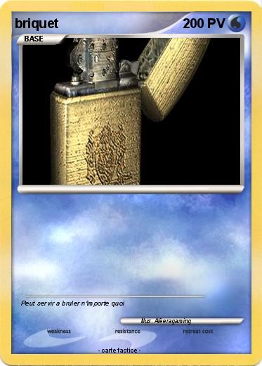 Pokemon briquet