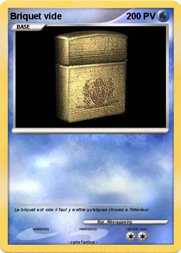 Pokemon Briquet vide