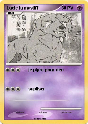 Pokemon Lucie la mastiff