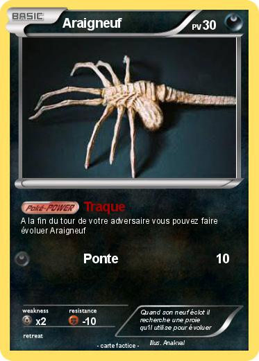 Pokemon Araigneuf