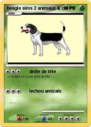Pokemon beagle sims 2 animaux & cie PC
