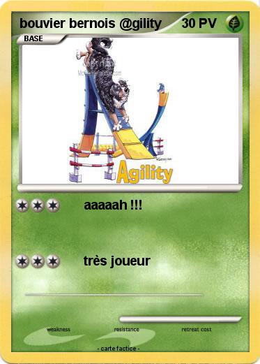 Pokemon bouvier bernois @gility