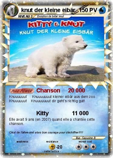 Pokemon knut der kleine eibär