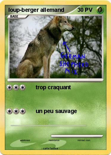 Pokemon loup-berger allemand