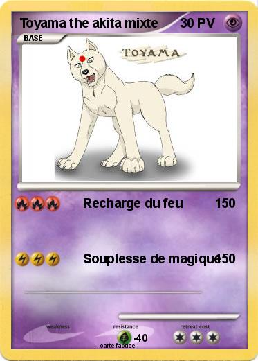 Pokemon Toyama the akita mixte