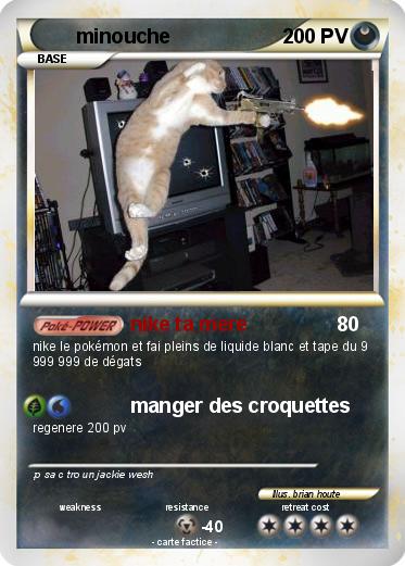 Pokemon minouche