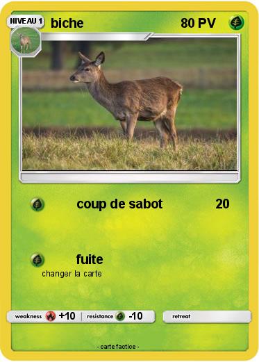 Pokemon biche