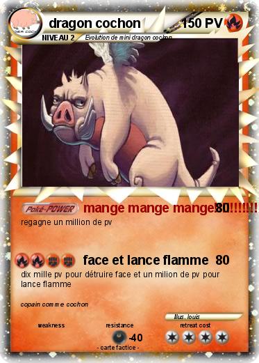 Pokemon dragon cochon