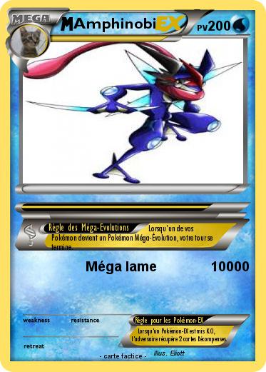 Pokemon Amphinobi