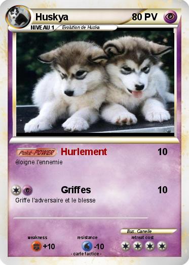 Pokemon Huskya