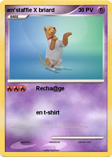 Pokemon am'staffie X briard