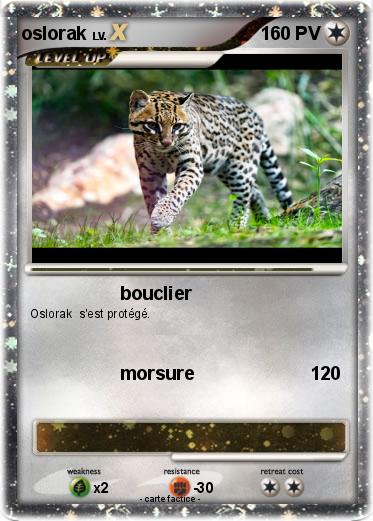 Pokemon oslorak