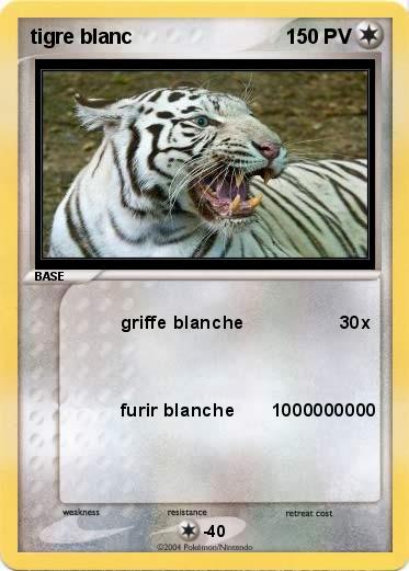 Pokemon tigre blanc