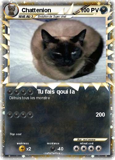 Pokemon Chattenion