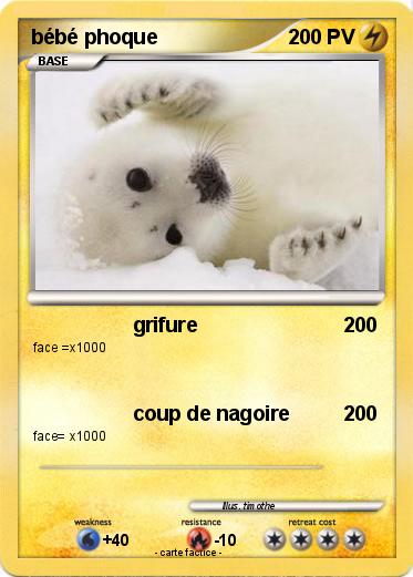 Pokemon bébé phoque