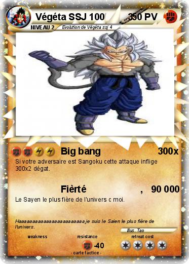 Pokemon Végéta SSJ 100         3