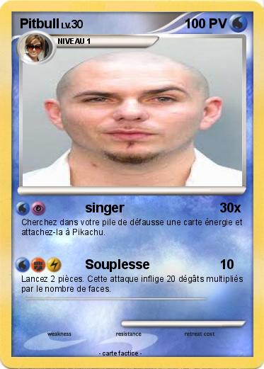 Pokemon Pitbull