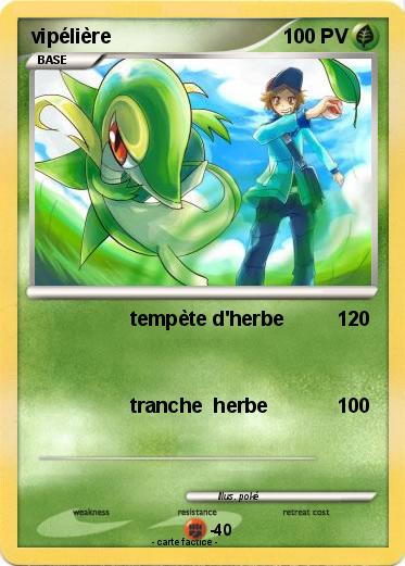 Pokemon vipélière