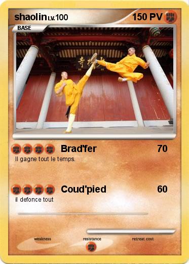 Pokemon shaolin