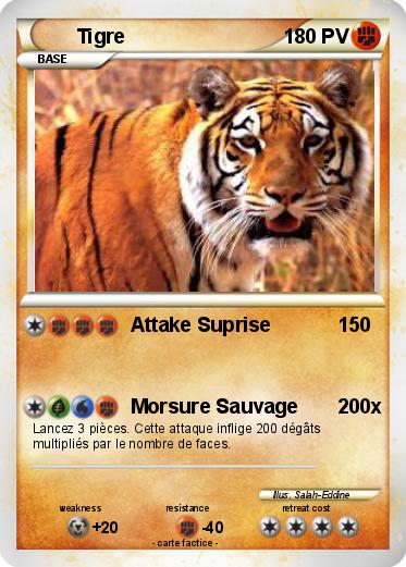Pokemon Tigre