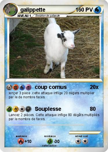 Pokemon galippette