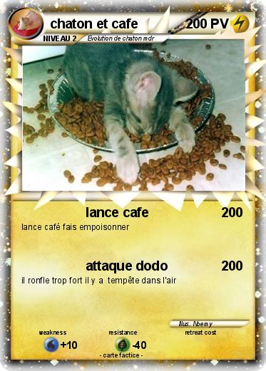 Pokemon chaton et cafe