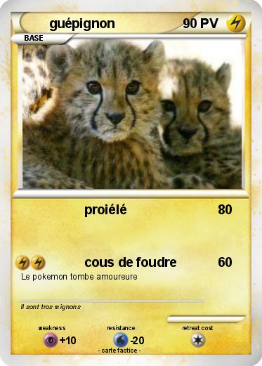 Pokemon guépignon