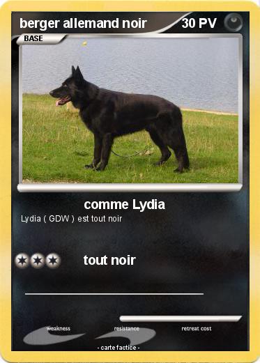 Pokemon berger allemand noir