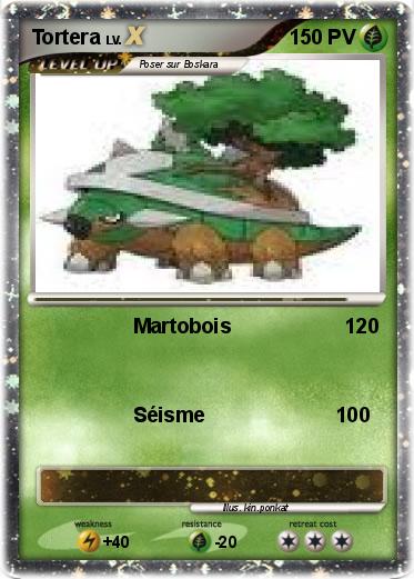 Pokemon Tortera
