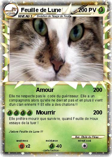 Pokemon Feuille de Lune