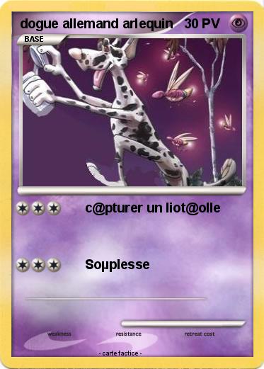 Pokemon dogue allemand arlequin