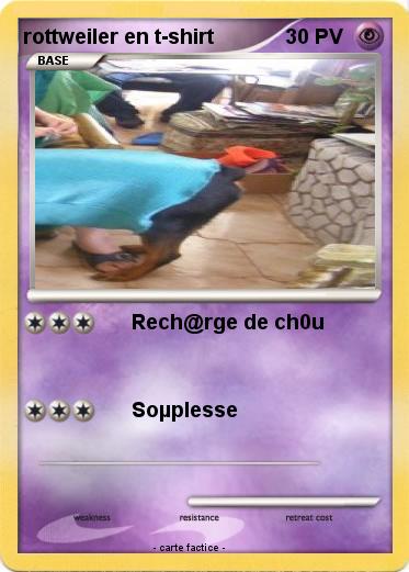 Pokemon rottweiler en t-shirt