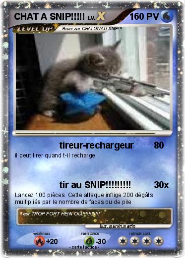 Pokemon CHAT A SNIP!!!!!