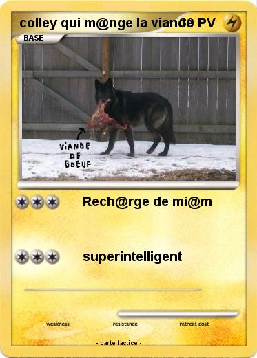 Pokemon colley qui m@nge la viande
